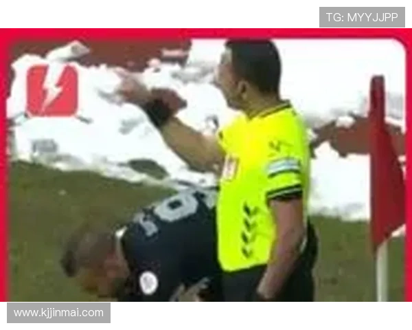 球迷雪球砸裁判罗斯托克恐被罚 球迷雪球砸裁判罗斯托克恐被罚